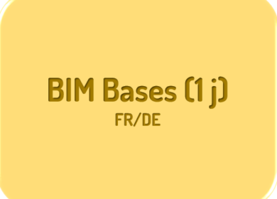 BIM bases