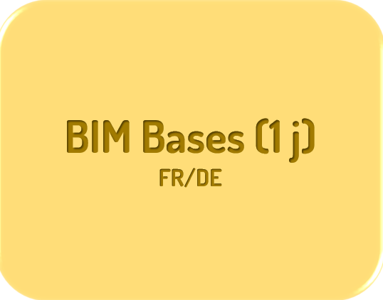 BIM bases